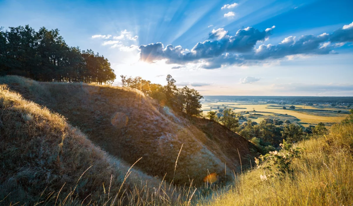 Z wizytą u prawnika