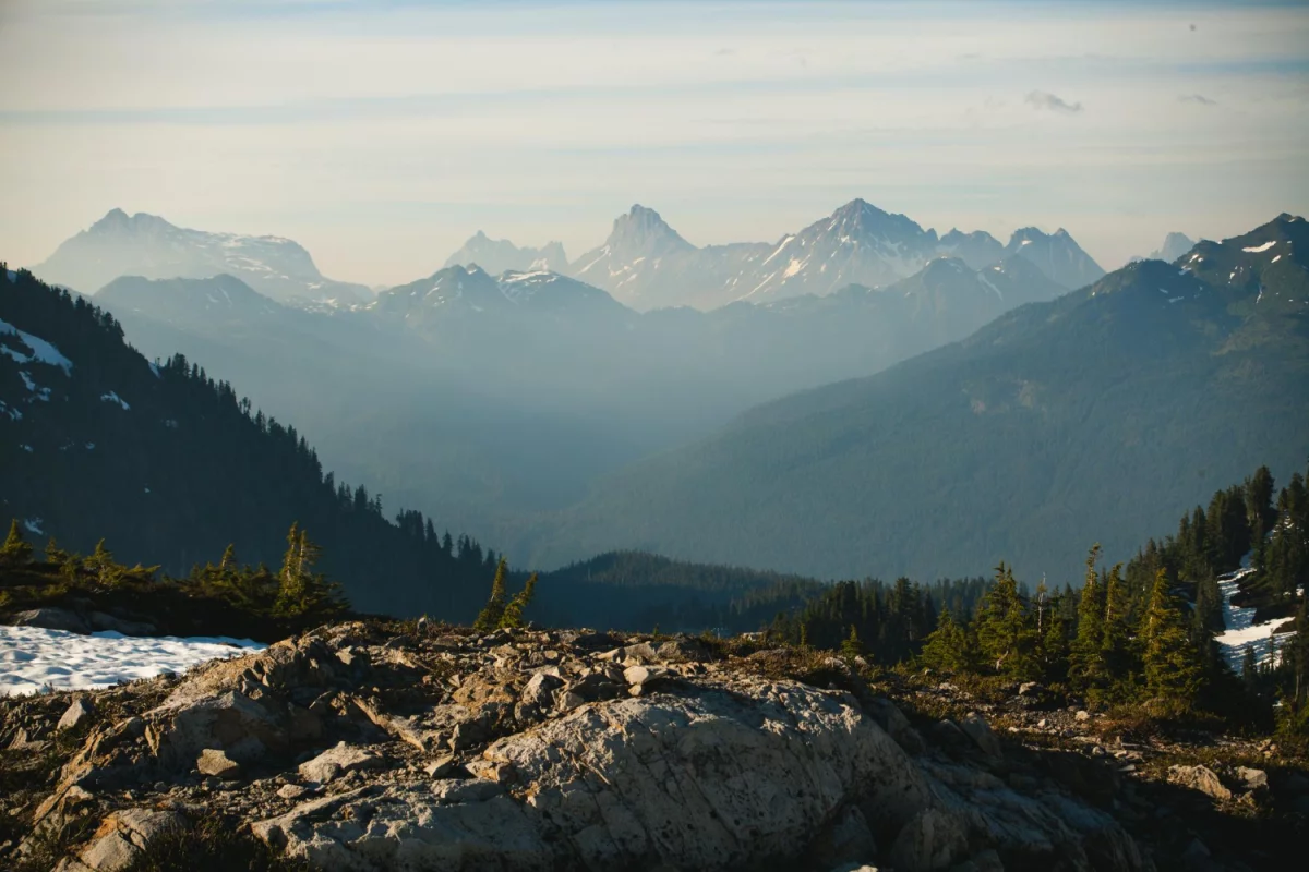  robić tanie pozycjonowanie w 2021?