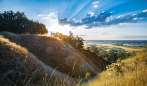 5 Wypowiedzi Ekspertów Na To Jak wybrać dobre panele fotowoltaiczne