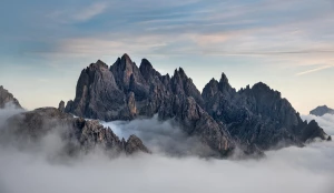 Kto nie musi robić tanie pozycjonowanie?