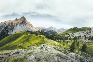 Czy oddać elektrośmieci jest łatwo?