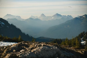 Chciałeś kiedyś oddać elektrośmieci ale nie wiesz jak sie za to zabrać?