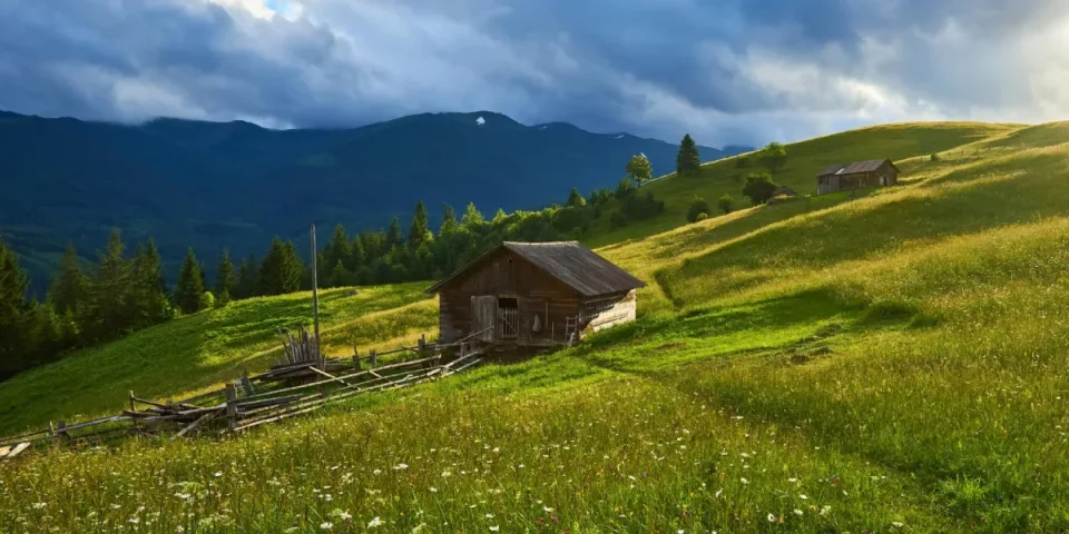 Kamienie do ogrodu: jak dobrać rodzaj (dekoracyjne, ozdobne, otoczak, kruszywo) do ścieżek, rabat i oczka wodnego — praktyczne wskazówki, ceny i najczęstsze błędy